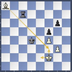 Final Leg FIDE WGP